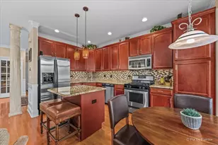 131 Katrina Ln, Algonquin, IL 60102 - Photo 13