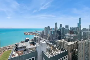 161 E Chicago Ave, Chicago, IL 60611 - Photo 25