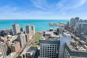 161 E Chicago Ave, Chicago, IL 60611 - Photo 27