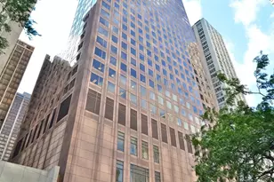 161 E Chicago Ave, Chicago, IL 60611 - Photo 1