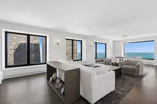 161 E Chicago Ave, Chicago, IL 60611 - Photo 5
