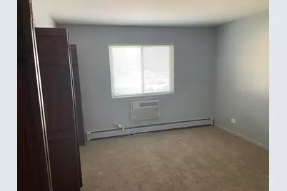106 Olesen Drive #101, Naperville, IL 60540 - Photo 5