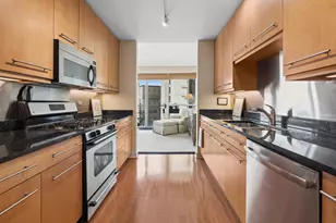 250 E Pearson St, Chicago, IL 60611 - Photo 9