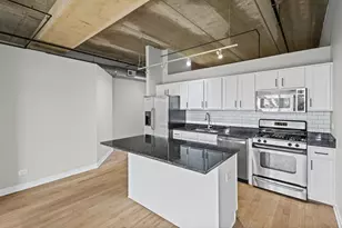 833 W 15th Pl, Chicago, IL 60608 - Photo 3