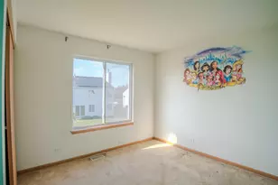 21300 Pasture Side Trail, Matteson, IL 60443 - Photo 19