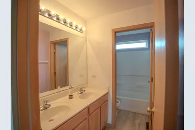 21300 Pasture Side Trail, Matteson, IL 60443 - Photo 21