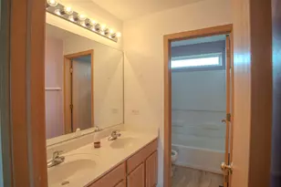 21300 Pasture Side Trail, Matteson, IL 60443 - Photo 21