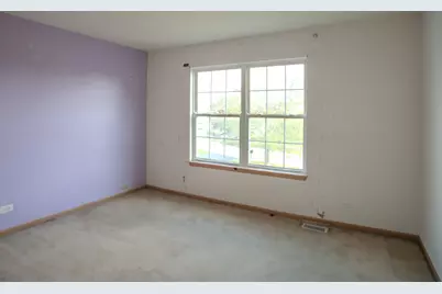 21300 Pasture Side Trail, Matteson, IL 60443 - Photo 23