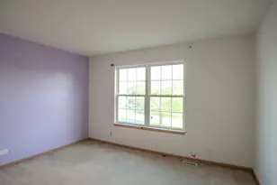 21300 Pasture Side Trail, Matteson, IL 60443 - Photo 23