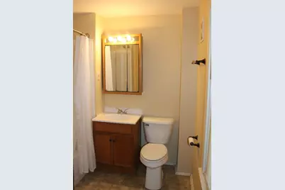 306 N Holmes Street, Cambridge, IL 61238 - Photo 15