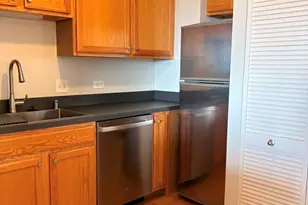 1111 S Wabash Ave, Chicago, IL 60605 - Photo 13
