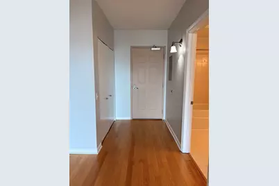 1111 S Wabash Avenue #909, Chicago, IL 60605 - Photo 23