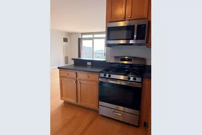1111 S Wabash Avenue #909, Chicago, IL 60605 - Photo 11
