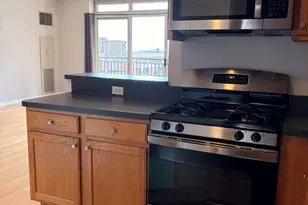 1111 S Wabash Ave, Chicago, IL 60605 - Photo 11