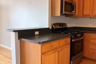1111 S Wabash Ave, Chicago, IL 60605 - Photo 9