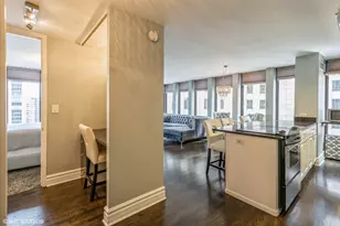 100 E Walton St, Chicago, IL 60611 - Photo 7