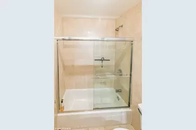 100 E Walton Street #20B, Chicago, IL 60611 - Photo 13