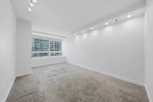 512 N McClurg Ct, Chicago, IL 60611 - Photo 11