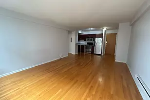 4180 N Marine Dr, Chicago, IL 60613 - Photo 3