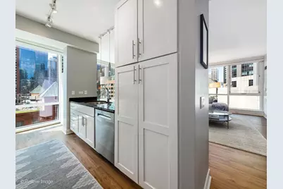 505 N McClurg Court #905, Chicago, IL 60611 - Photo 13