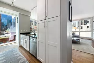 505 N McClurg Ct, Chicago, IL 60611 - Photo 13