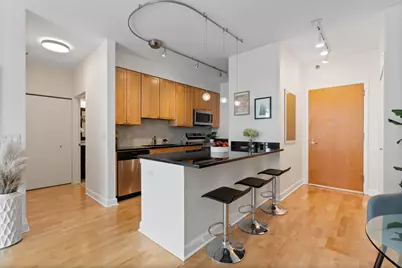 421 W Huron Street #908, Chicago, IL 60654 - Photo 9