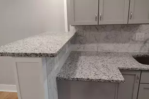 651 South Blvd, Oak Park, IL 60302 - Photo 5