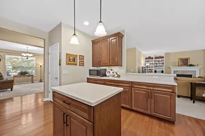 1707 Pondview Drive, Hoffman Estates, IL 60192 - Photo 11