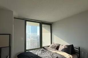 111 W Maple St, Chicago, IL 60610 - Photo 9