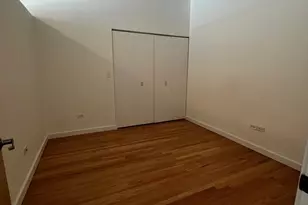 1720 S Michigan Ave, Chicago, IL 60616 - Photo 19