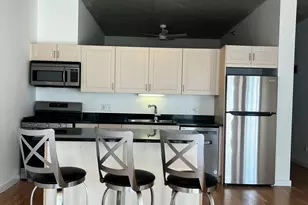 1720 S Michigan Ave, Chicago, IL 60616 - Photo 3