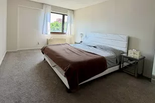 1143 S Plymouth Ct, Chicago, IL 60605 - Photo 9