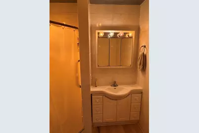 523 E Wells Street, Geneseo, IL 61254 - Photo 15