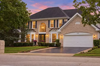 1339 Beckett Lane, Schaumburg, IL 60173 - Photo 1
