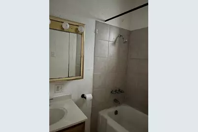 3041 S Lowe Avenue, Chicago, IL 60616 - Photo 11
