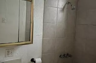 3041 S Lowe Ave, Chicago, IL 60616 - Photo 11