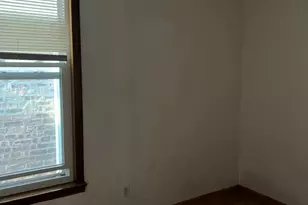 3041 S Lowe Ave, Chicago, IL 60616 - Photo 7