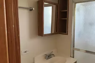3041 S Lowe Ave, Chicago, IL 60616 - Photo 35