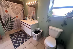 3041 S Lowe Ave, Chicago, IL 60616 - Photo 29