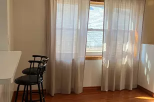 3041 S Lowe Ave, Chicago, IL 60616 - Photo 21