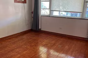 3041 S Lowe Ave, Chicago, IL 60616 - Photo 19