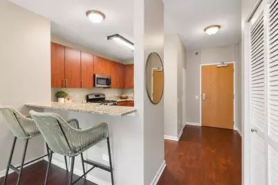 757 N Orleans Street #610, Chicago, IL 60654 - Photo 7