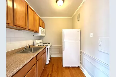 1301 W Argyle Street #306, Chicago, IL 60640 - Photo 9