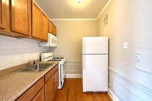1301 W Argyle St, Chicago, IL 60640 - Photo 9