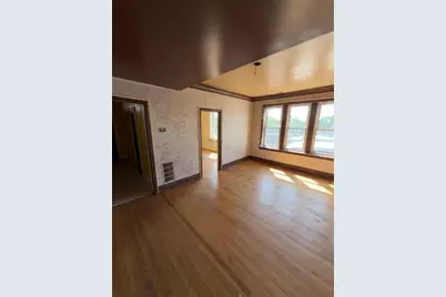1541 S Saint Louis Avenue, Chicago, IL 60623 - Photo 7