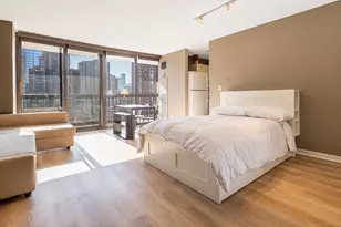 33 W Delaware Pl, Chicago, IL 60610 - Photo 9