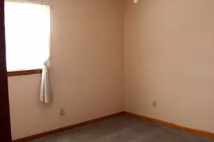 509 High St, Alma, IL 62807 - Photo 21