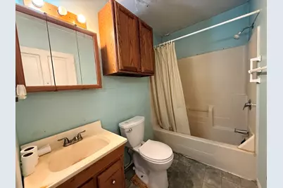 115 W James Street, Dwight, IL 60420 - Photo 11