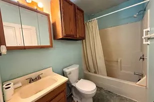 115 W James St, Dwight, IL 60420 - Photo 11