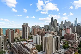 88 W Schiller St, Chicago, IL 60610 - Photo 21